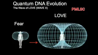 Quantum DNA Evolution - PMLSC