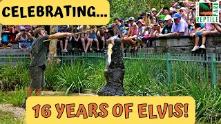 16 Years of Elvis the Crocodile | Australian Reptile Park