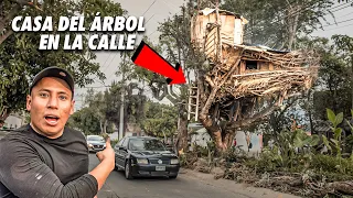 Así vivo en “Casa en el Árbol” en medio de la calle…