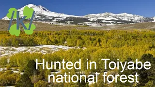 4chan story - /k/ - Hunted in Toiyabe National Forest