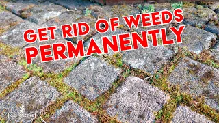 8 tips against weeds in driveways and sidewalks [How to get rid of weeds permanently]