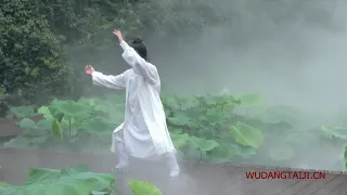 Wudang Tai Chi 13 by Master Chen Shiyu