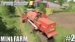 Harvesting Barley w/ Bizon | MINI FARM in Europe | Timelapse #2 | Farming Simulator 19