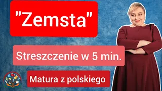 Zemsta - streszczenie lektury w 6 minut