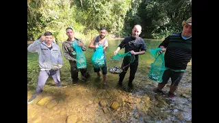 A maior pescaria de lambaris de todas , 15kg