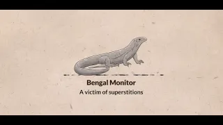 Bengal monitor lizard: A victim of superstition (English)