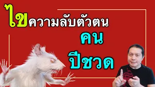 ไขความลับตัวตน “คนปีชวด” จอมเก็บรายละเอียดแห่ง 12 นักษัตร