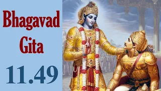 Bhagavad Gita 11.49 | Gita Chapter 11 Shloka 49 | Gita Shloka 463