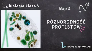 Biologia klasa 5 [Lekcja 12 - Różnorodność protistów]