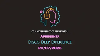 Programa Rota 91 - DJ Mauricio Animal - DISCO DEEP EXPERIENCE #1 - Temporada 2023