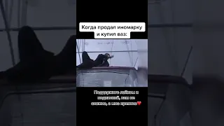 Жириновский, шли бы вы все нахер🤕