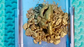 SHOCKED THE WORLD..! 5 AMAZING VIDEOS OF GOLD DISCOVERY,.!! GOLD PROSPECTING, GOLD RUSH