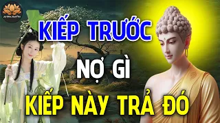 Kiếp Trước Nợ Gì Kiếp Này Trả Đó Phật Dạy Nhân Quả Báo Ứng Không Trừ Một Ai _  An Nhiên Hạnh Phúc