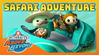 Octonauts: Above & Beyond - 🦁 Safari Adventure! 🛻  | Compilation | @Octonauts​