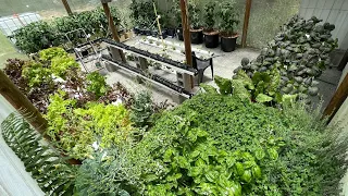 Hydroponic Systems Update