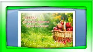 Рабушко Николай  -  Обрезка плодовых деревьев - вебинар полная версия.