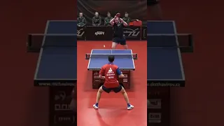 Absolutely INSANE Table Tennis Defense from Yang Wang ! #tabletennis #defence #proplayer