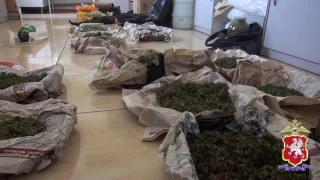 У жителя Севастополя полицейские изъяли более двух килограммов марихуаны