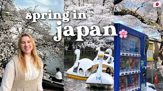 spring in japan 🇯🇵 | cherry blossom hunting 🌸 inokashira park, shimokitazawa, hanami in west tokyo