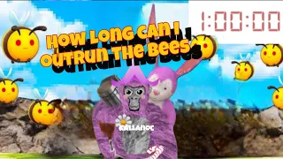 How long can I outrun the bees (Gorillatagvr) thanks @Cubcub11 for the idea