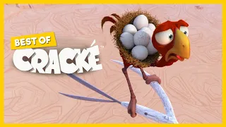 CRACKÉ - SUDDEN BREAK | Cartoon Animation | Compilation