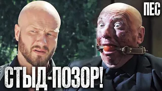 🎬 ИСПАНСКИЙ СТЫД! Смешной ДЕТЕКТИВ 2023 - Сериал ПЕС 2023 - Лучшие серии