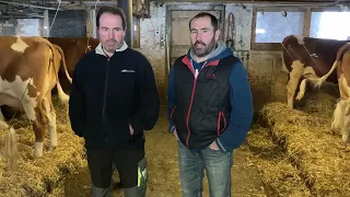 Ueli und Niklaus Berger schwärmen für die Swiss-Fleckvieh-Kuh