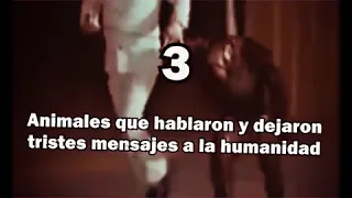 Tres animales que dejaron un triste mensaje