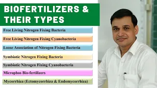 What are biofertilizers | Types and importance of biofertilizers