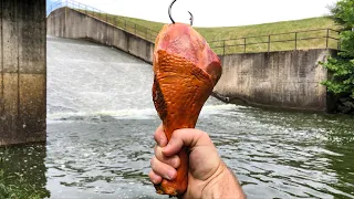 This Bait Caught The BIGGEST of The YEAR!!! (Surprise Catch)