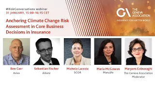 Anchoring Climate Change Risk Assessment in Core Business Decisions in Insurance