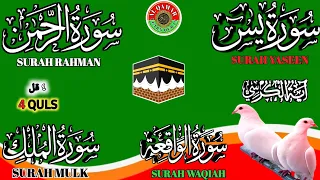 Ep 227 Surah Yaseen 🌻 Surah Rahman 🌻Surah Waqiah 🌻Surah mulk 🌻 4 Quls 🌻@IQRAALQURANKARIM