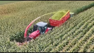 Mini Maxi Silage  Massey Ferguson style. Farma Tesař CZ Champion 3000  Agrocentrum Stránecká Zhoř