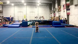 USA ACROBATIC GYMNASTICS LEVEL 5 WP