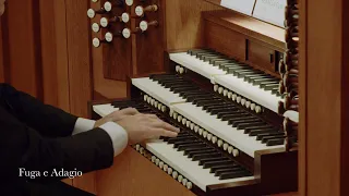 Improvised Symphonic Poem / Vincent Dubois, organist of Notre Dame Cathedral, Paris