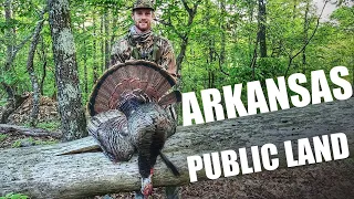 PUBLIC LAND GOBBLERS - Arkansas Mountain Hunting