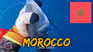 Spearfishing in Morocco: Nador - Sea Bass, Dorade, and Sar in the Mediterranean Sea