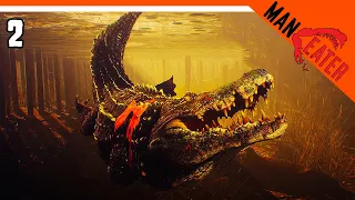 🦈 АКУЛА ПРОТИВ АЛЛИГАТОРОВ 🐊 MANEATER Прохождение