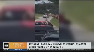 Texas safari park bans doorless vehicles after child was picked up by giraffe