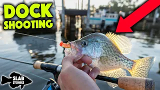 DOCK SHOOTING For Crappie In A Kayak!