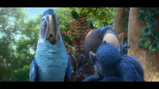 Rio 2 - afternoon