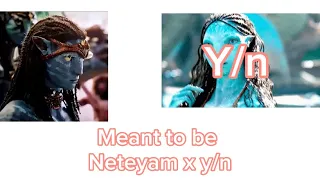 “Meant to be” Neteyam x y/n Part 1 (check description)