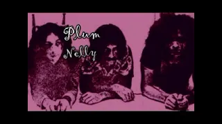 Plum Nelly - Detective Lines - 1971 - (Full Album)