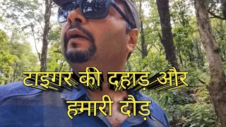 TIGER की दहाड़ और हमारी दौड़ | Tiger Growling While Trekking In Jungle | Sitabani | Jim Corbett Park