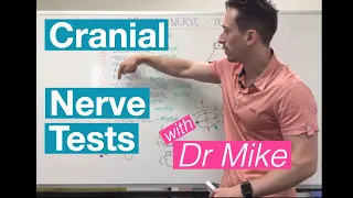Cranial Nerve Tests | Nervous System