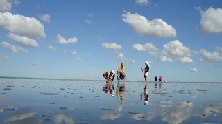 соленые озера Волчихинского района