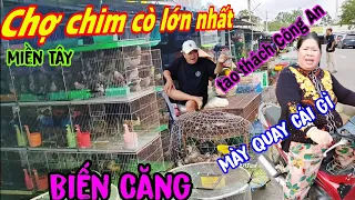 Mạo hiểm khám phá chợ Chim cò lớn nhất miền Tây 2024"đụng độ giang hồ chợ chim Thạnh Hóa Long An