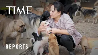 Rescue Animals in Wuhan Get a New Home | TIME