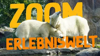 ZOOM Erlebniswelt Gelsenkirchen | Zoo Eindruck