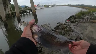 Meeting up with Visual-LY for some sheepshead shore fishing in Jacksonville and Fernandina Beach FL